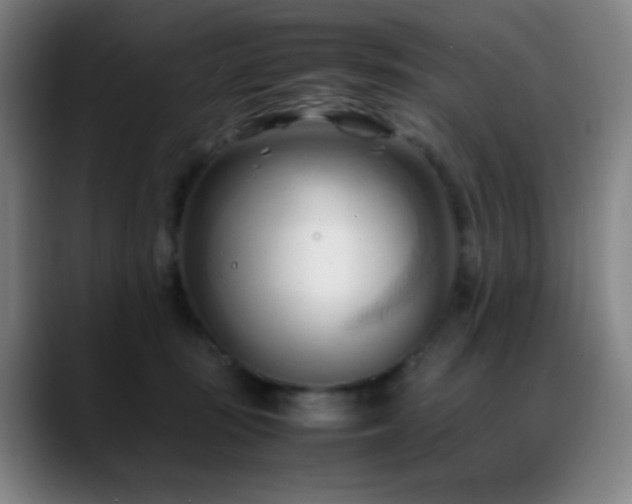 X0000089350371200706151106
