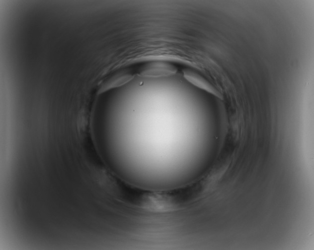 X0000089350372200706151106