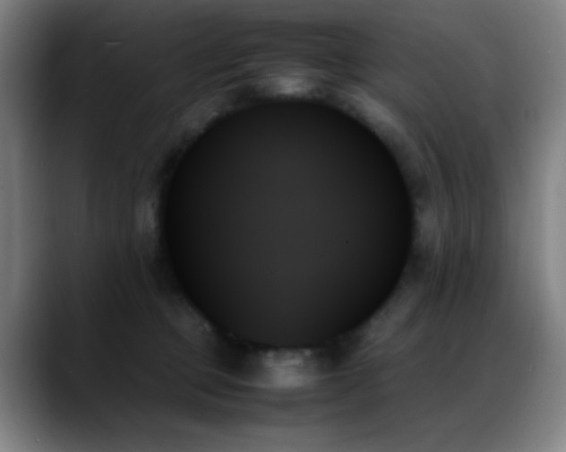 X0000089350373200706151106