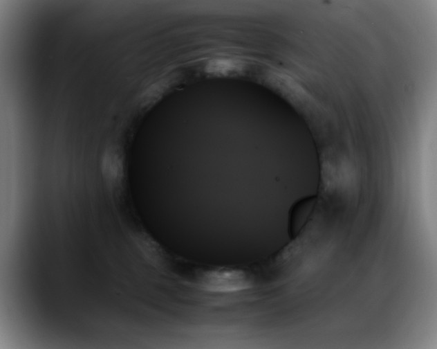 X0000089350375200706151106