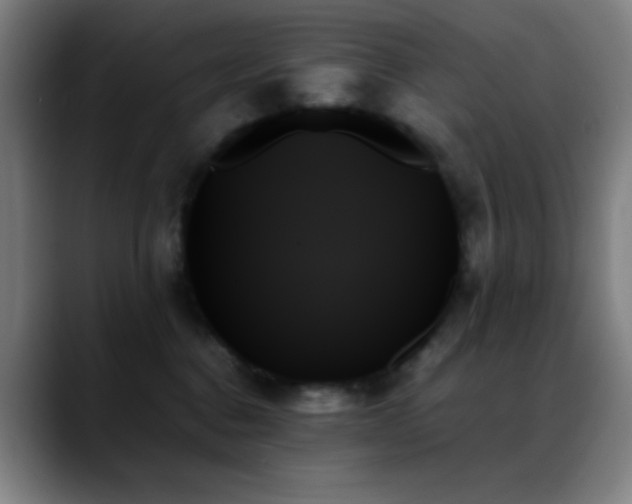 X0000089350376200706151106