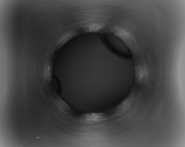 X0000089350378200706151106