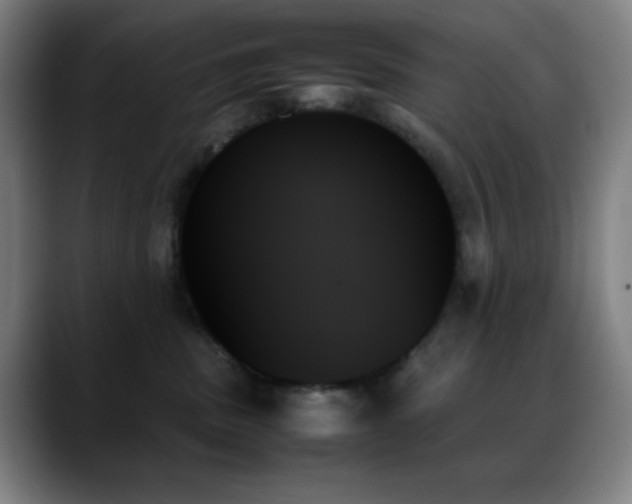 X0000089350379200706151106