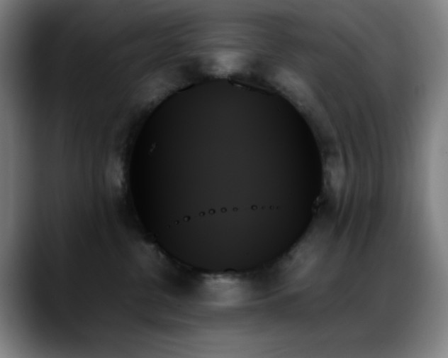 X0000089350380200706151106