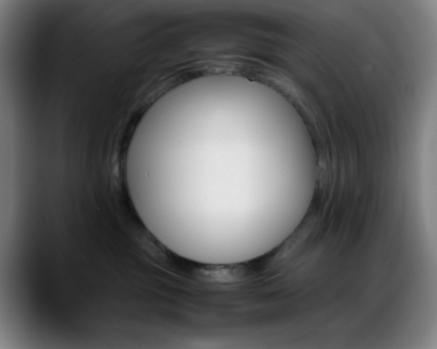 X0000089350381200706151106