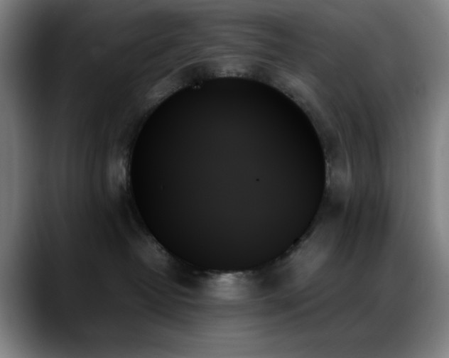 X0000089350382200706151106