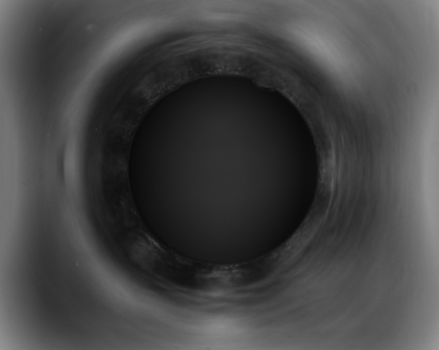 X0000089350383200706151106