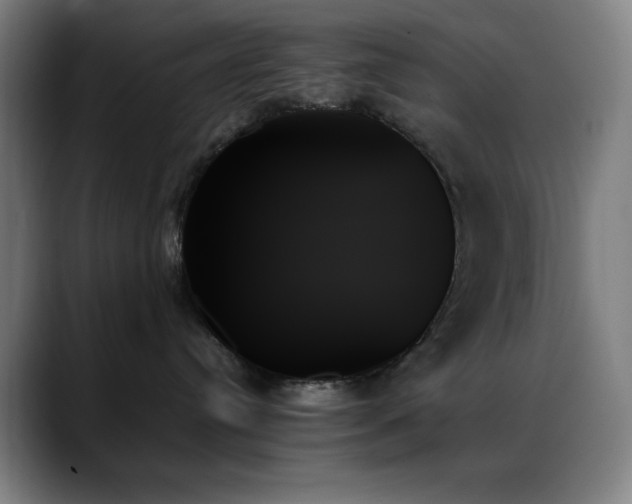 X0000089350384200706151106