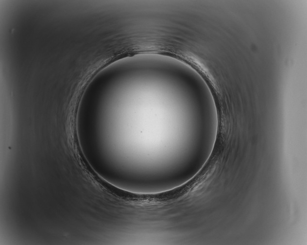 X0000089350385200706151105