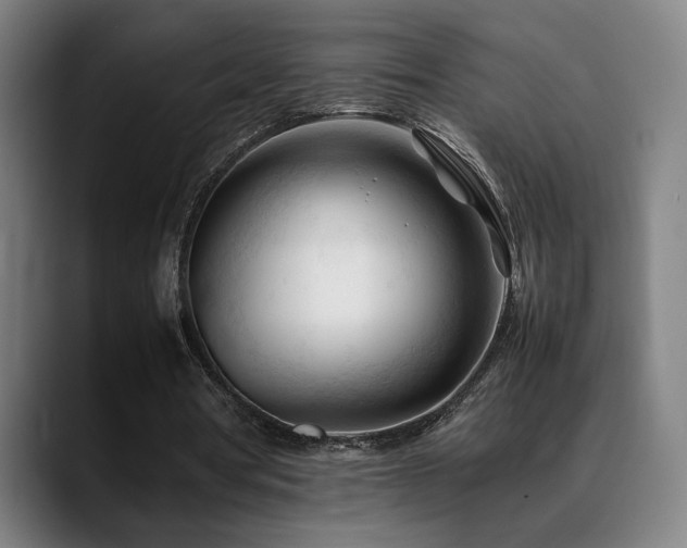 X0000089350386200706151105