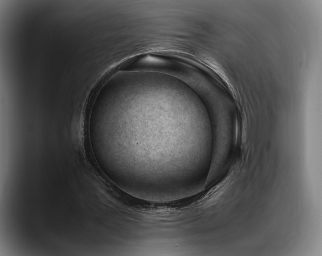 X0000089350387200706151105