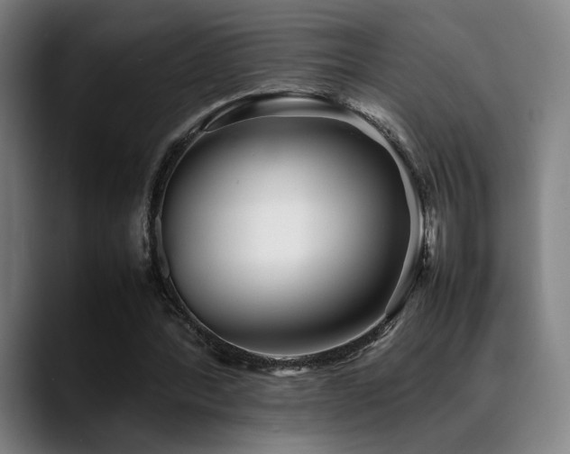 X0000089350388200706151105