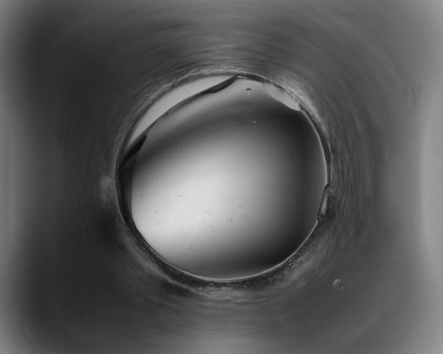 X0000089350389200706151105
