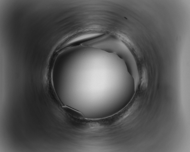X0000089350392200706151105