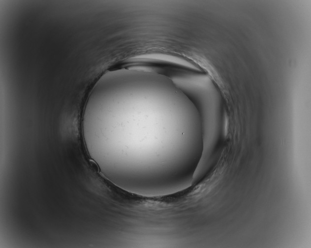 X0000089350393200706151105