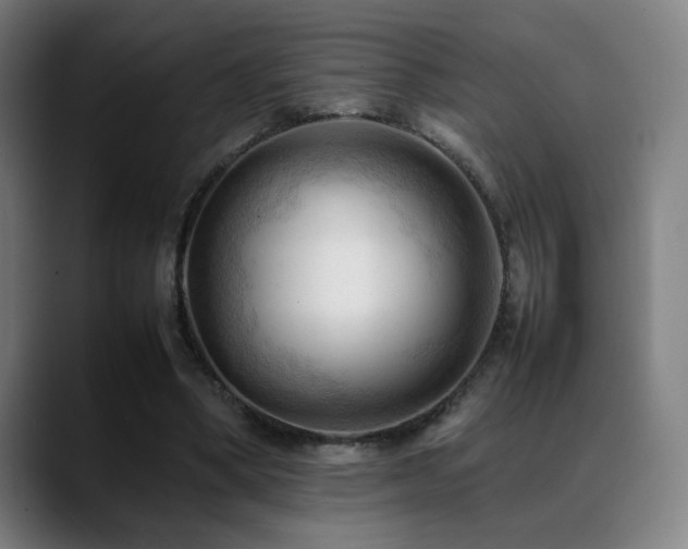 X0000089350394200706151105