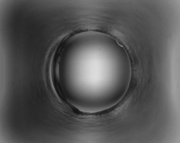 X0000089350395200706151105