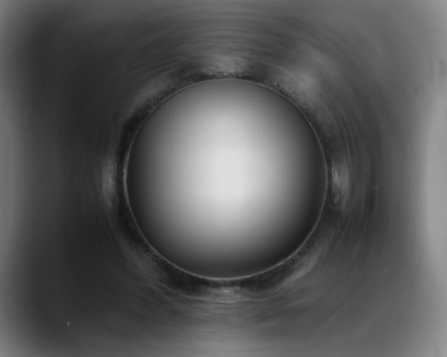 X0000089350396200706151105