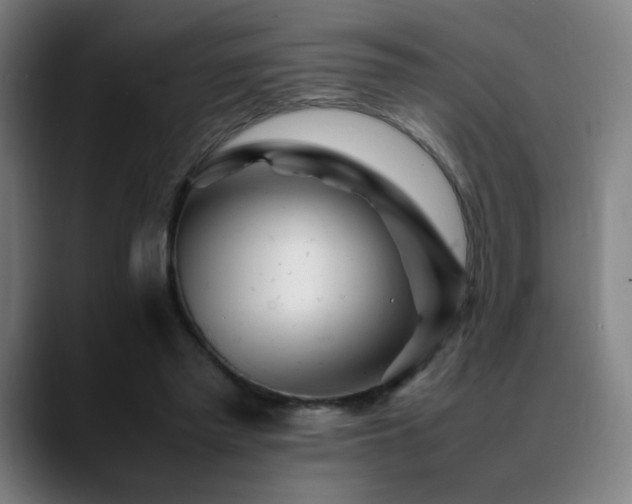X0000089350397200706151105