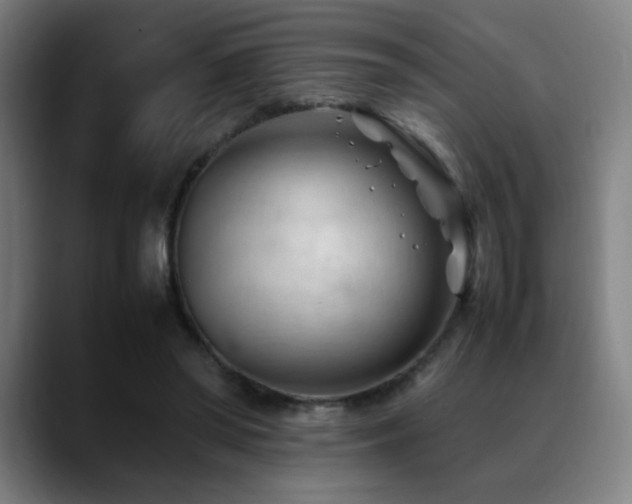 X0000089350398200706151105