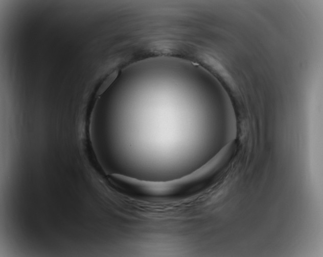 X0000089350399200706151105