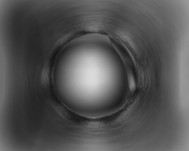 X0000089350400200706151105