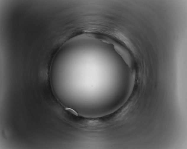 X0000089350401200706151105
