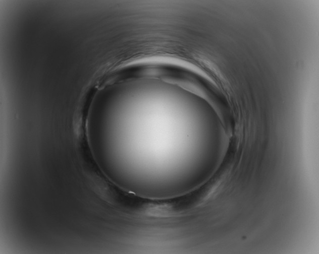 X0000089350403200706151105