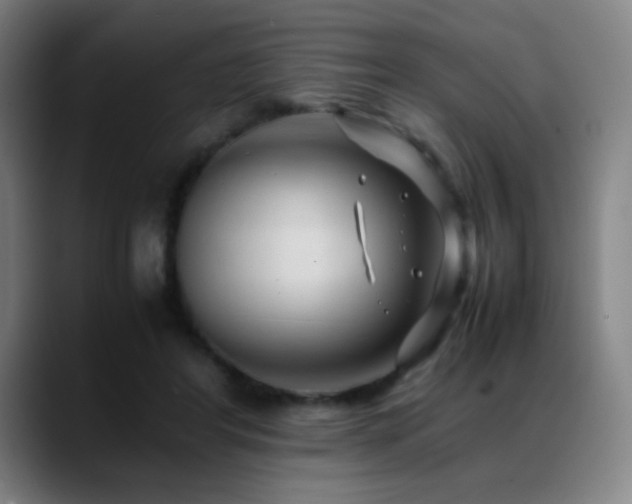 X0000089350404200706151105