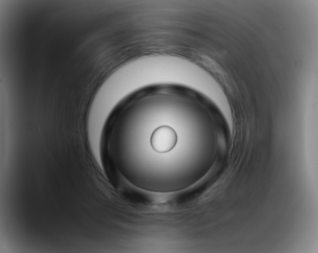 X0000089350405200706151105