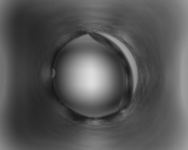 X0000089350407200706151105