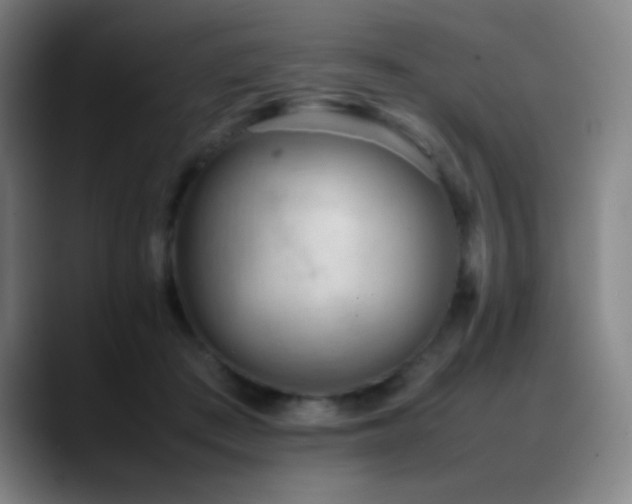 X0000089350409200706151105