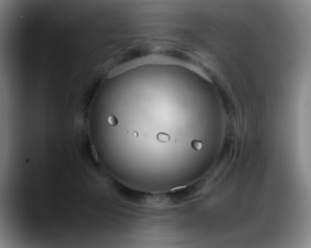 X0000089350415200706151105