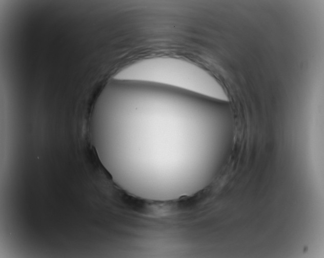 X0000089350417200706151105
