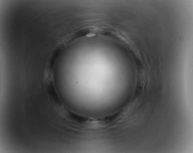 X0000089350419200706151105