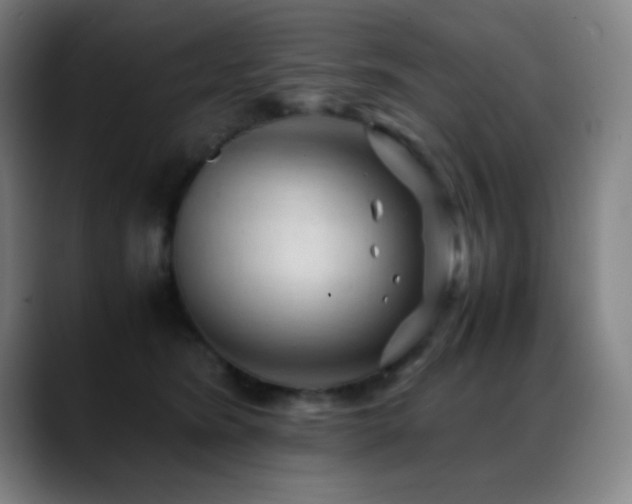 X0000089350420200706151105