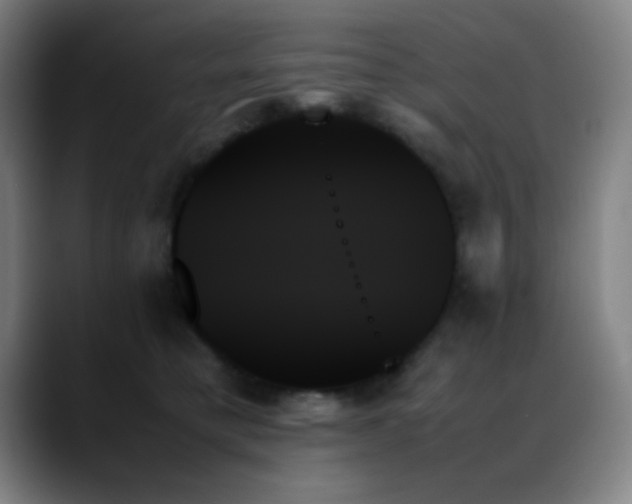 X0000089350421200706151105