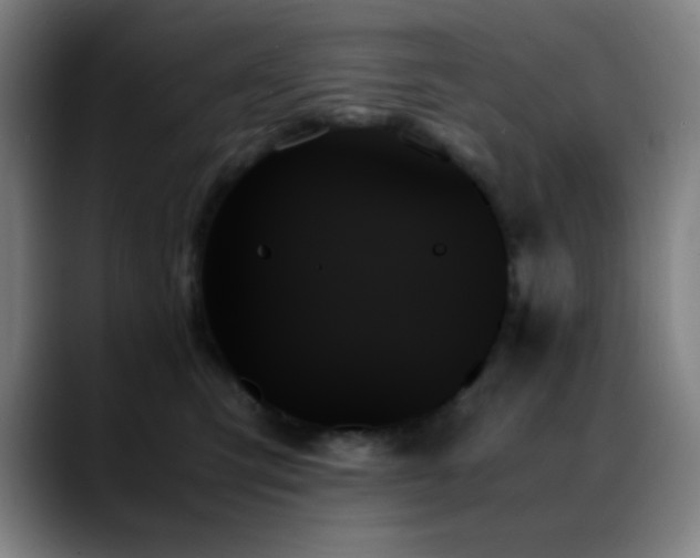 X0000089350423200706151105