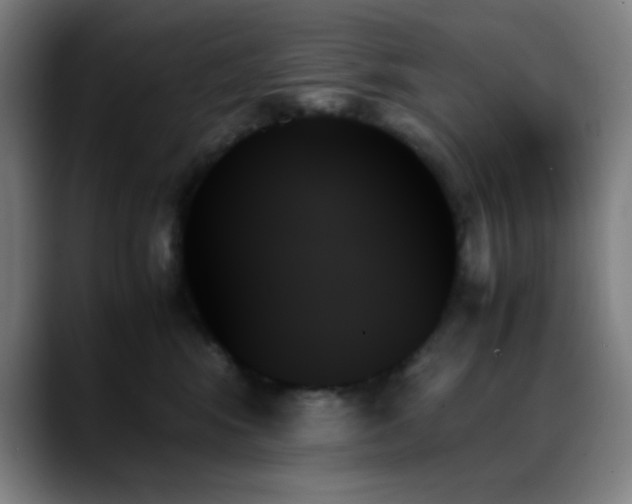 X0000089350424200706151105