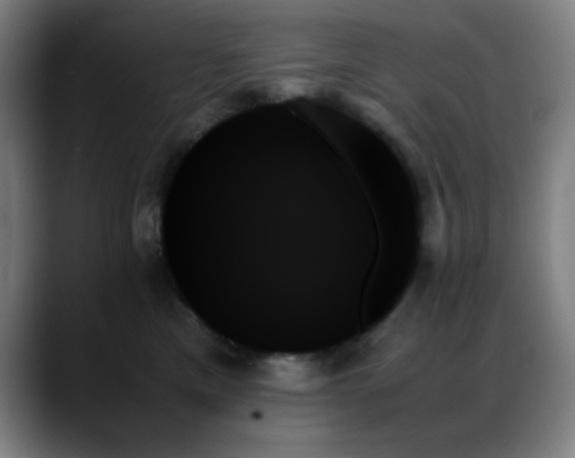 X0000089350425200706151105