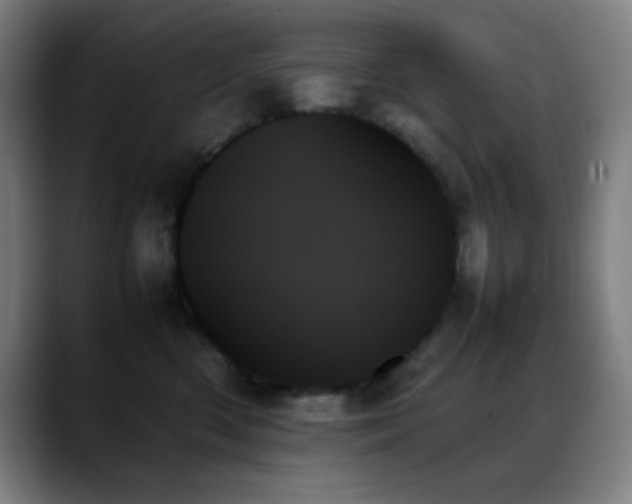 X0000089350426200706151105