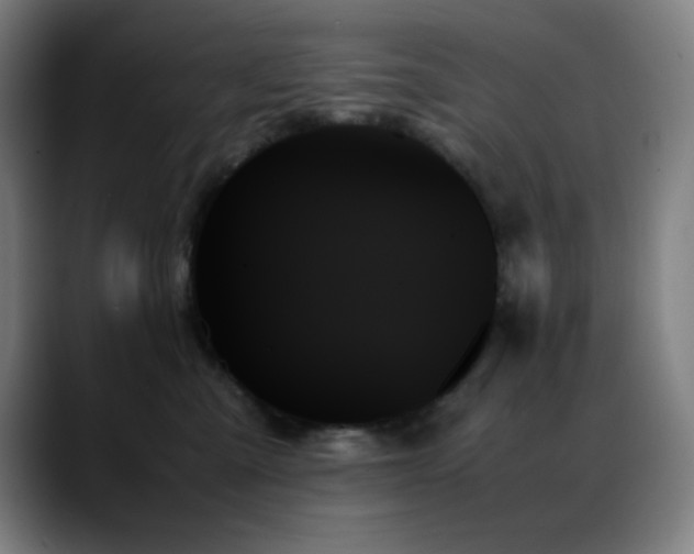 X0000089350427200706151105