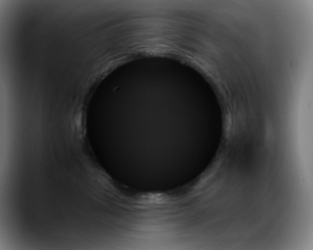 X0000089350428200706151105