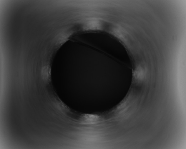 X0000089350429200706151105
