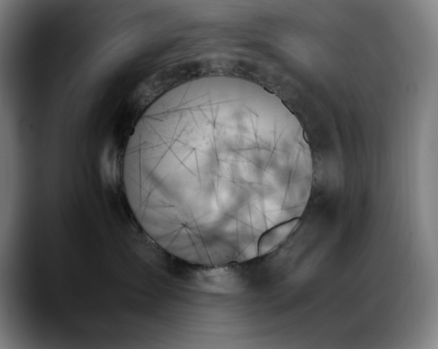 X0000089350431200706151105