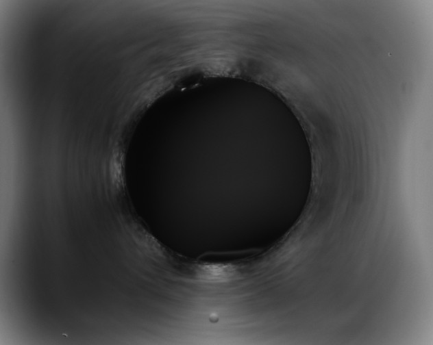 X0000089350432200706151105