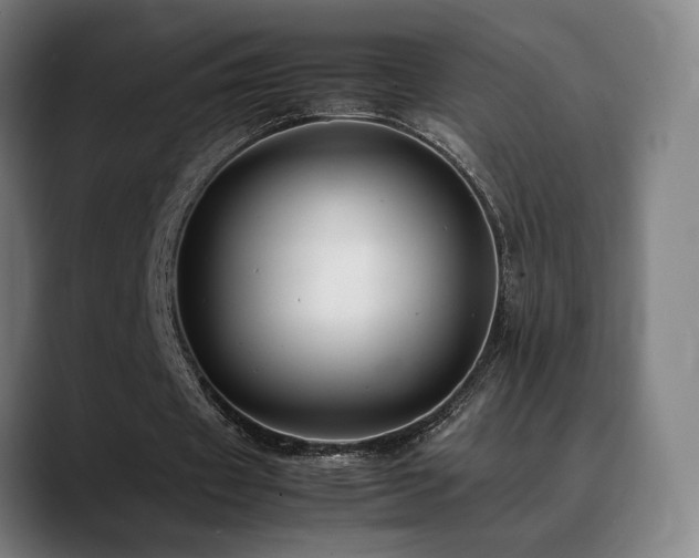 X0000089350433200706151104