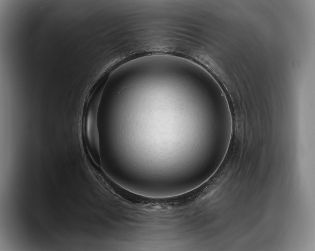 X0000089350434200706151104