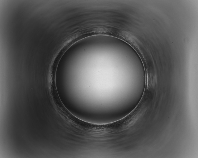 X0000089350435200706151104