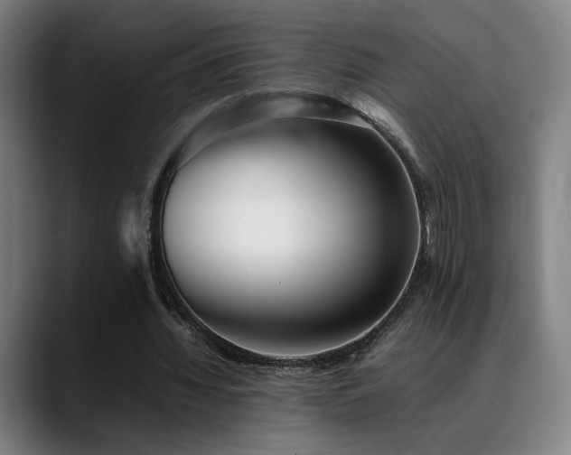 X0000089350436200706151104